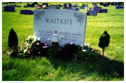 Waitkus 1997